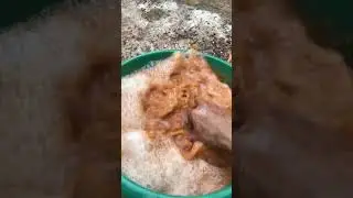 WADIDAU‼️From Muddy to Clean #shorts #toys  #asmrcleaning #viral