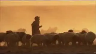 Backpack Storytelling - The Bedouin Lifestyle