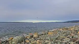 Ocean Waves for Sleep | Relax | Meditation | No Music | 1hour