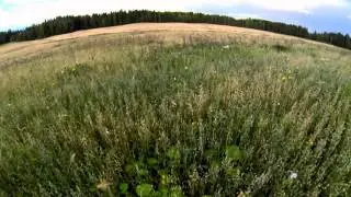 Korkeita odotuksia web