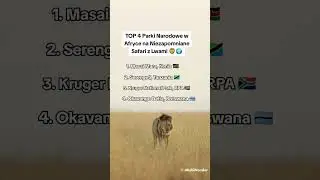 🦁 Safari w Afryce &ndash; przygoda życia czeka!