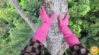 Unbelievable Jungle Honey Hunt at Deadly Heights ｜ Ancient Wild Bee Tradition wjKKPFo018c part1