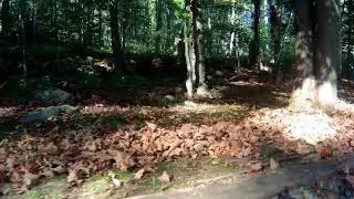 Clearing Leaves from the Driveway 2017 0917 161521 085