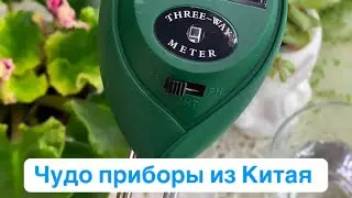 Чудо прибор из Китая. #комнатныерастения #plants #кімнатнірослини 