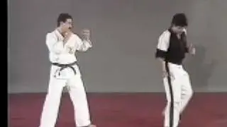 Jump Side Kick by Fariborz Azhakh #2