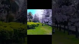 The Most Beautiful Place in IRAN 🤩✨Amol City #Iran #IranTravel #Northiran #short #nature #dream