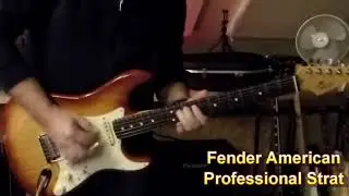 Fender American Professional Stratocaster, ash body, V-MOD Pickups.