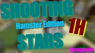 1HOUR SHOOTING STARS-Hamster Edition | Grenzpunkt