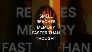 Smell reaches memory without permission.#BrainFacts #MemoryScience #PsychologyFacts #MindPower