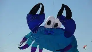 Cape Fear Kite Festival 2019