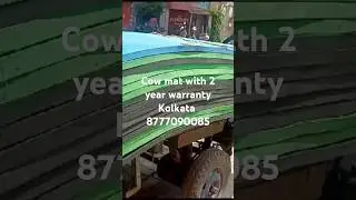 Best Cow mat