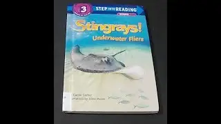 Stingrays! Underwater Fliers