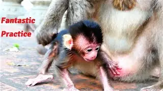 Oh My God Pity for This Poor Baby! Newborn Try Hard to Practice Crawling