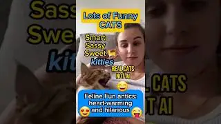 Funny cute CATS 🐈&zwj;⬛️😄. Captivating variety of Cat Life #shorts