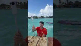 Having fun in Bonaire with my @insta360 X5! - My affiliate Code for your Insta360: NICO