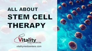 All About Stem Cell Therapy: Explained By John E. Stavrakos, MS, MD