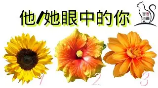 【#2281】【塔罗·字卡·占卜】他/她眼中的你 | 流星塔羅牌 | 海洋灵魂旅程神谕卡 | 啟動光行神諭卡 (無時間限制)