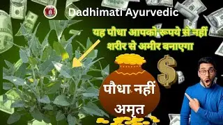 बथुआ (Lamb's quarters),विटामिन A, C और B, पालक की तुलना में अधिक प्रोटीन।
