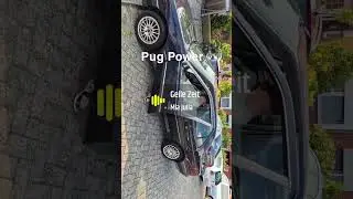 Pug Power Peugeot 405 Sri