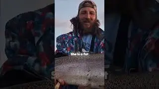 Unbelievable! Nearly 10lb Trout Landed in the Hatchery Ponds!
