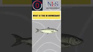 Norwegian vocabulary challenge