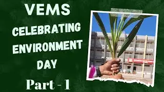 Vems celebrating environment day