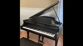 Steinway Grand model M for sale.