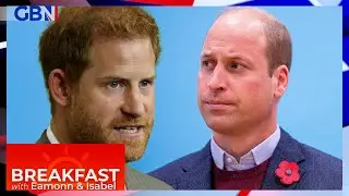 Prince Harry claims Prince William PHYSICALLY ATTACKED him during confrontation over Meghan Markle