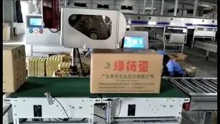 Egg carton scanning weighing and sorting conveyor line