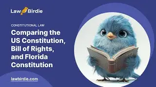 Comparing the US Constitution, Bill of Rights, and Florida Constitution - Essay Example