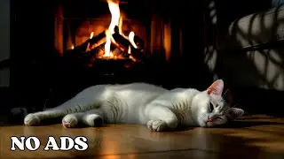 Anti-Anxiety Music For Cat: Relaxing Music to Keep Your Kitty Calm and Happy And Sleep Better 🌼