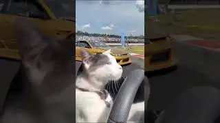 Feed nor Speed