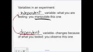 Intro to Forensic Science Lecture 2: The Scientific Method