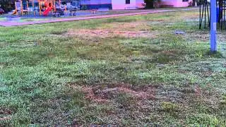 DFD F183 first bumpy flight