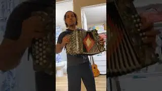 El mariachi