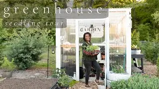 All the plants we are growing from seed// greenhouse seedling tour