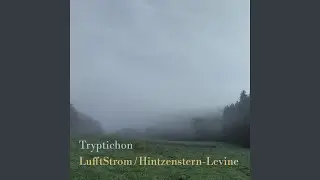 Organum + Stereo Field (feat. Michael von Hintzenstern)