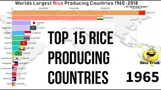 Top 15 Rice Producing Countries in the world 1960-2020 | Largest Rice Prodcuing Countries 1960-2020
