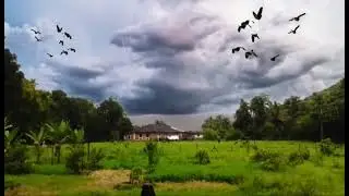 Dhopave