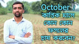 অক্টোবর মাসে কি কি ফসলের চাষ করবেন ? কার্ত্তিক মাসে কি কি সব্জির চাষ করবেন? কার্ত্তিক মাসের চাষবাস !