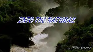 INTO THE NATURAl   12.5.2019