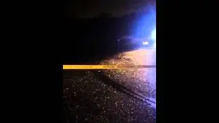 Surrey Homicides