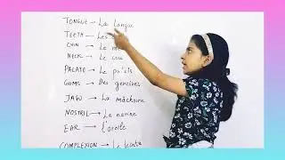 Parts of the face/ body in French: Part 1 (Correct names and pronunciation)
