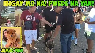 ISANG TAWAD LANG!  BIGAY AGAD! BOCAUE PET MARKET! 1/30/2026