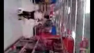 Bikes+WallyWorld+2 hyper teenage girls=massive noise and chaos session...