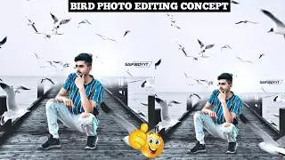 Bird Photo Editing Toturial || Creative Love Bird Photo Editing || Natural Photo Editing -SaifiboyYT
