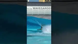 SHEA PORTER FINLESS BEATER SHREDDING NEW WAVEPOOL