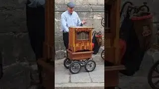Der alte Jäger vom Silbertannental