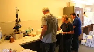 Day in the Life – Hanover Shoe Farms – Part 3 January 2016 Hoof Beats