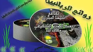 الوسوسة بانتقاض الوضوء بخروج المذي-الشيخ الشنقيطي